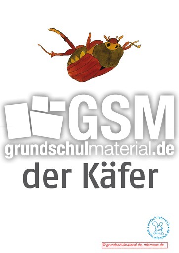 Bildkarten_d_Waldtiere 12.pdf